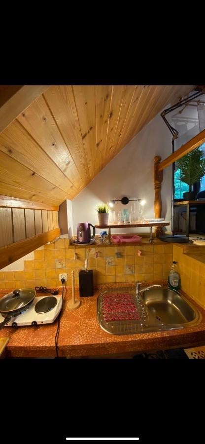 Goralska Osada Karpacz - Apartametny 外观 照片